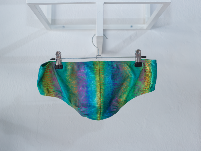 AQUA ADORE Custom Swim Wear | PRIDE | Lizard